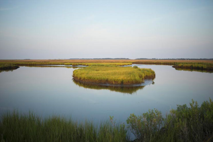 How to Save a Sinking Island